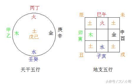 地支五行陰陽|陰陽、五行、八卦、天干地支《易經》的五大數字運行。